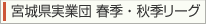 宮城県実業団春季リーグ